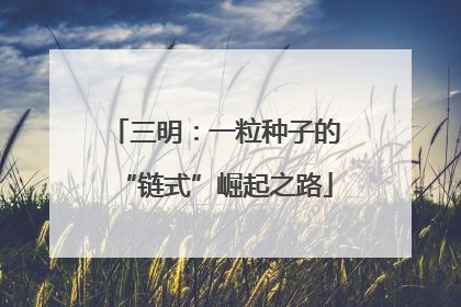 三明：一粒种子的“链式”崛起之路
