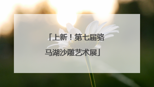 上新！第七届骆马湖沙雕艺术展