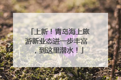上新！青岛海上旅游新业态进一步丰富，到这里潜水！