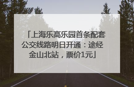 上海乐高乐园首条配套公交线路明日开通：途经金山北站，票价1元