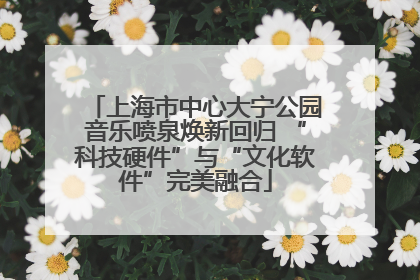 上海市中心大宁公园音乐喷泉焕新回归 “科技硬件”与“文化软件”完美融合
