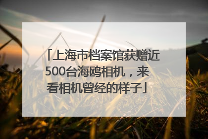 上海市档案馆获赠近500台海鸥相机，来看相机曾经的样子