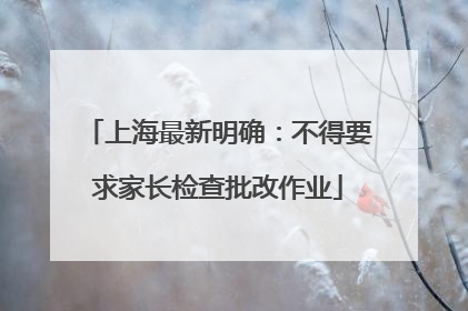 上海最新明确：不得要求家长检查批改作业
