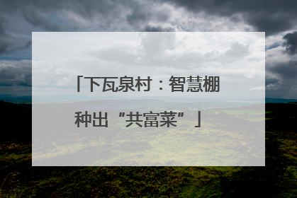 下瓦泉村：智慧棚种出“共富菜”