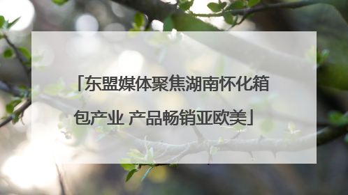 东盟媒体聚焦湖南怀化箱包产业 产品畅销亚欧美