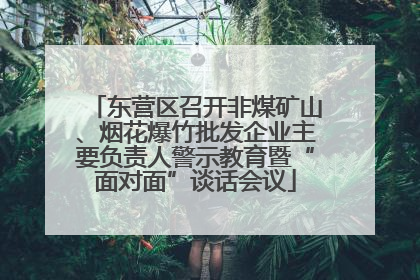 东营区召开非煤矿山、烟花爆竹批发企业主要负责人警示教育暨“面对面”谈话会议