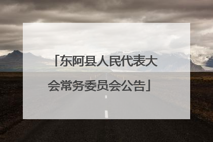东阿县人民代表大会常务委员会公告