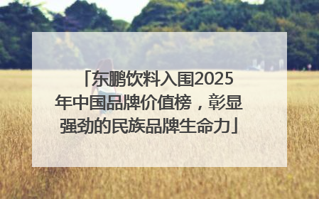 东鹏饮料入围2025年中国品牌价值榜，彰显强劲的民族品牌生命力