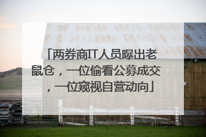 两券商IT人员曝出老鼠仓，一位偷看公募成交，一位窥视自营动向