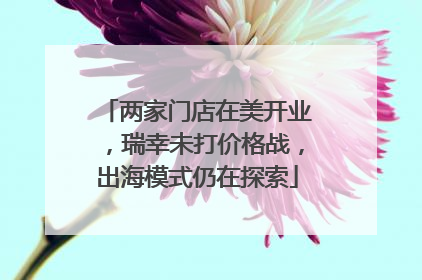 两家门店在美开业，瑞幸未打价格战，出海模式仍在探索
