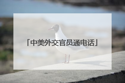 中美外交官员通电话