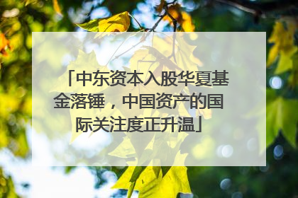 中东资本入股华夏基金落锤，中国资产的国际关注度正升温