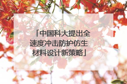中国科大提出全速度冲击防护仿生材料设计新策略