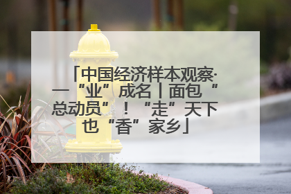中国经济样本观察·一“业”成名丨面包“总动员”！“走”天下也“香”家乡