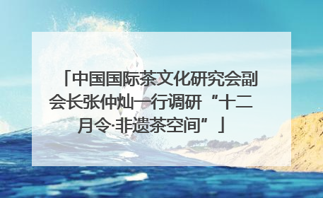 中国国际茶文化研究会副会长张仲灿一行调研“十二月令·非遗茶空间”
