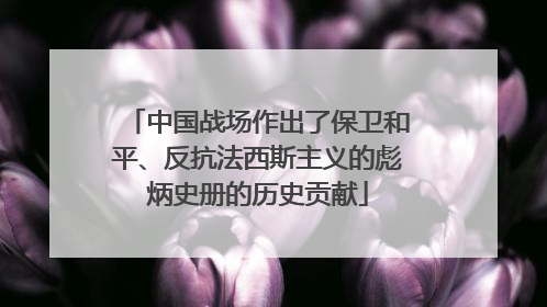 中国战场作出了保卫和平、反抗法西斯主义的彪炳史册的历史贡献