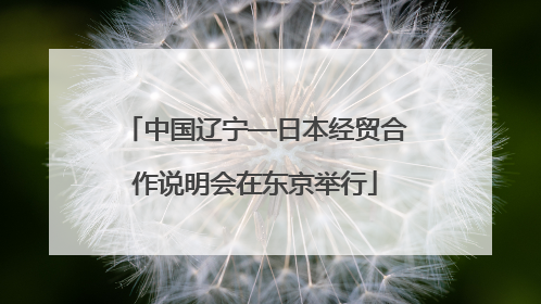 中国辽宁—日本经贸合作说明会在东京举行