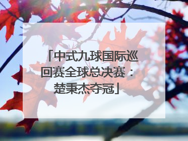 中式九球国际巡回赛全球总决赛：楚秉杰夺冠