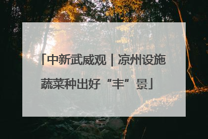 中新武威观｜凉州设施蔬菜种出好“丰”景
