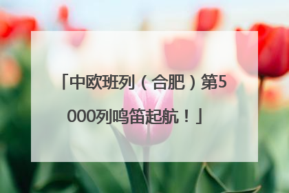中欧班列（合肥）第5000列鸣笛起航！