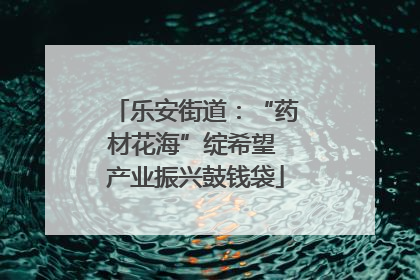 乐安街道：“药材花海”绽希望 产业振兴鼓钱袋