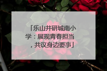 乐山井研城南小学：展现青春担当，共议身边要事