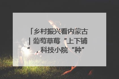 乡村振兴看内蒙古｜葡萄草莓“上下铺”，科技小院“种”出三倍效益