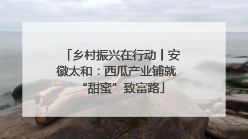 乡村振兴在行动丨安徽太和：西瓜产业铺就“甜蜜”致富路