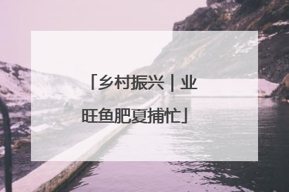 乡村振兴｜业旺鱼肥夏捕忙
