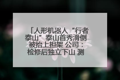 人形机器人“行者泰山”泰山首秀滑倒被抬上担架 公司：检修后独立下山 测试就是为暴露问题