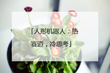 人形机器人：热赛道，冷思考