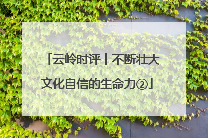 云岭时评丨不断壮大文化自信的生命力②