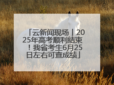 云新闻现场丨2025年高考顺利结束！我省考生6月25日左右可查成绩