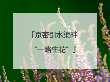 京密引水渠畔“一路生花”