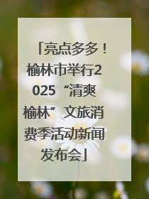 亮点多多！榆林市举行2025“清爽榆林”文旅消费季活动新闻发布会