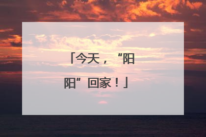 今天，“阳阳”回家！