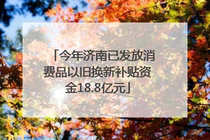 今年济南已发放消费品以旧换新补贴资金18.8亿元