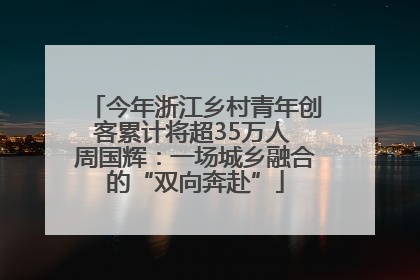 今年浙江乡村青年创客累计将超35万人 周国辉：一场城乡融合的“双向奔赴”