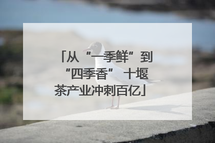 从“一季鲜”到“四季香” 十堰茶产业冲刺百亿