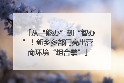 从“能办”到“智办”！新乡多部门亮出营商环境“组合拳”