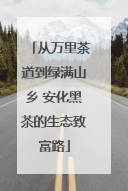 从万里茶道到绿满山乡 安化黑茶的生态致富路