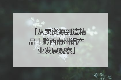 从卖资源到造精品｜黔西南州铝产业发展观察