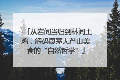 从岩间当归到林间土鸡，解码思茅大芦山美食的“自然哲学”