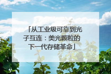 从工业级可靠到光子互连：美光颗粒的下一代存储革命
