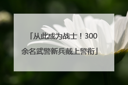 从此成为战士！300余名武警新兵戴上警衔