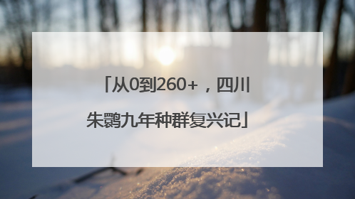 从0到260+，四川朱鹮九年种群复兴记