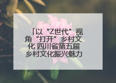 以“Z世代”视角“打开”乡村文化 四川省第五届乡村文化振兴魅力竞演大赛启动