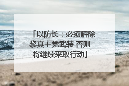 以防长：必须解除黎真主党武装 否则将继续采取行动