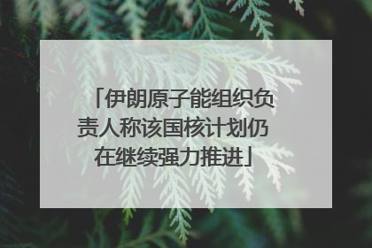 伊朗原子能组织负责人称该国核计划仍在继续强力推进