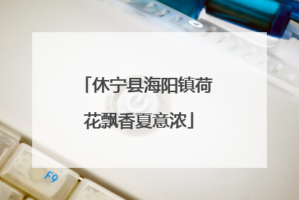 休宁县海阳镇荷花飘香夏意浓